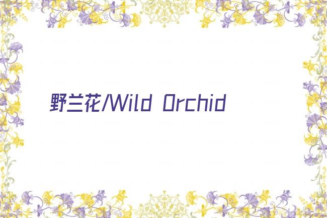 野兰花/Wild Orchid剧照